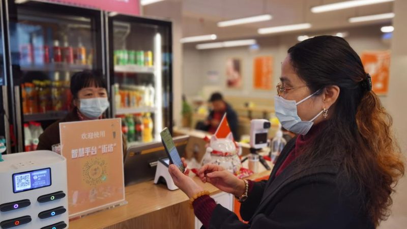 搬家公司保险理赔与普通货运险：区别与选择